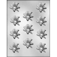 ŠOKOLAADIVORM (erinevad) 1tk