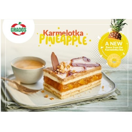 ANANASSITÜKID KARAMELLIMAITSELISES KREEMIS Karmelotka 6kg ANANASSITÜKID KARAMELLIMAITSELISES KREEMIS Karmelotka 6kg