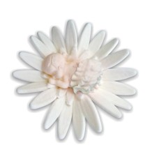 SUHKRUKAUNISTUS BEEBI ÕIEL valge 1tk 