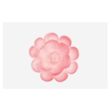 Vahvlikaunistus INGLISE ROOS keskmine valge roosa varjundiga  50tk