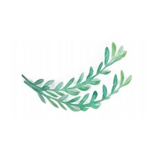 VAHVLILEHED (oliivileht) 4tk