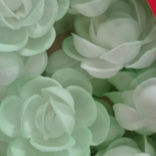 Vahvlikaunistus KLASSIKALINE ROOS MAXI valge rohelise varjundiga  25tk  LÕPUMÜÜK!